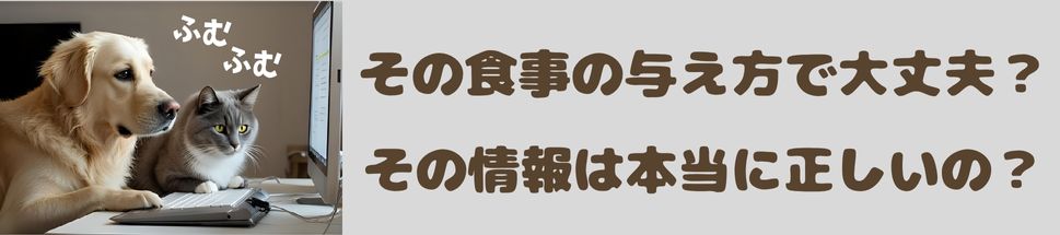 コラム