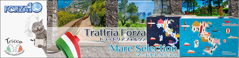 FORZA10猫用ウエットフード