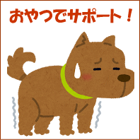 関節サポートBokBok