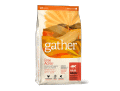 GATHER（ギャザー）