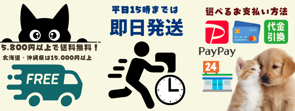 スマホトップ画像