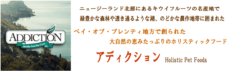 アディクショントップ