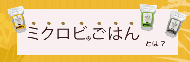 発芽玄米キューブ(旧ミクロビごはん)