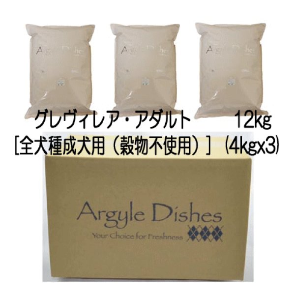 画像4: アーガイルディッシュ グレヴィレア・アダルト (4)