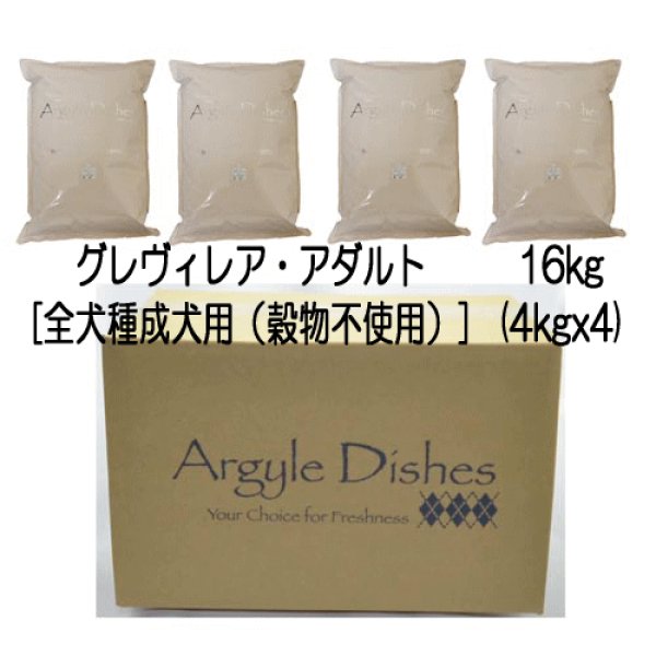 画像5: アーガイルディッシュ グレヴィレア・アダルト (5)