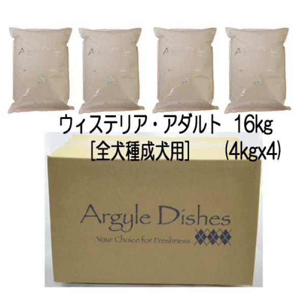 画像5: アーガイルディッシュ ウィステリア・アダルト (5)