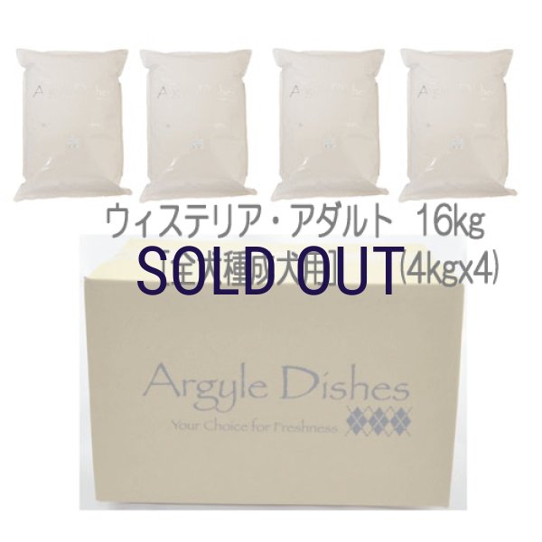画像5: 【メーカー欠品（入荷日未定）】アーガイルディッシュ ウィステリア・アダルト (5)