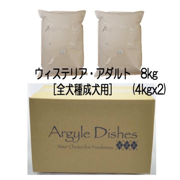 画像3: アーガイルディッシュ ウィステリア・アダルト (3)