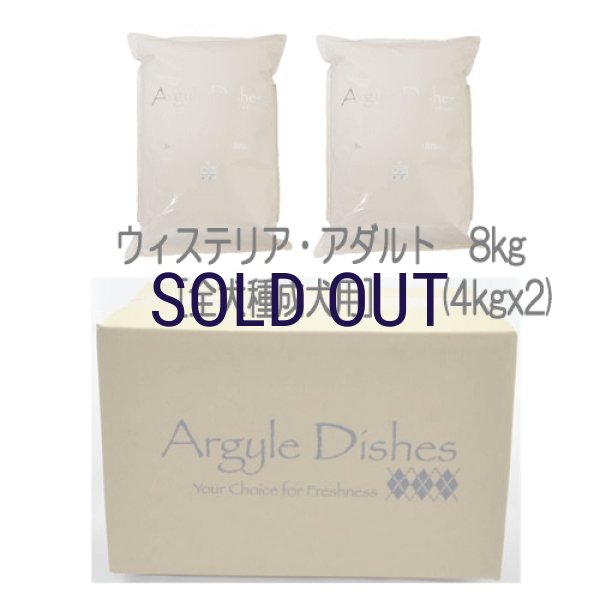 画像3: 【メーカー欠品（入荷日未定）】アーガイルディッシュ ウィステリア・アダルト (3)