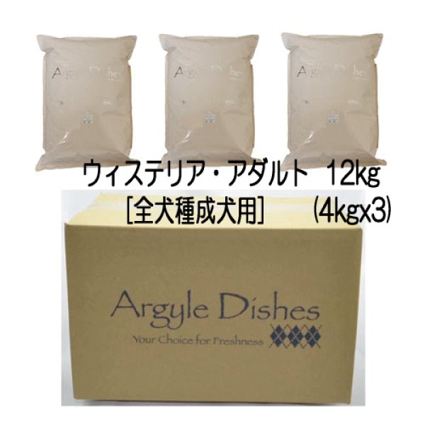 画像4: アーガイルディッシュ ウィステリア・アダルト (4)