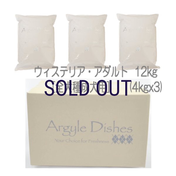 画像4: 【メーカー欠品（入荷日未定）】アーガイルディッシュ ウィステリア・アダルト (4)
