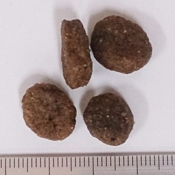 画像2: ペットカインド（トライプドライ）グリーンビーフトライプ (2)