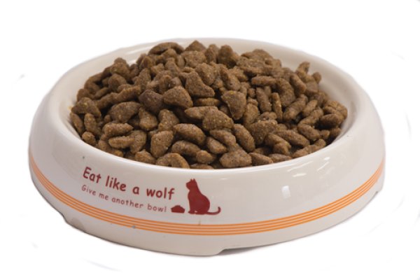 画像2:  お一人様1回限りでお願いします！ 【無料サンプル（少量パック）（一度のご注文では5種類まで）】グリーンフィッシュ キャットフード ドライ (2)