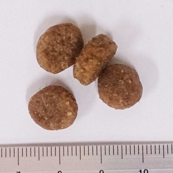 画像2: お一人様何回でもOK【無料サンプル(少量パック)(一度のご注文では5種類まで)】TRIPE DRY(トライプドライ)グリーンラムトライプ (2)