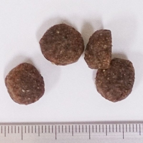 画像2: ペットカインド(トライプドライ)グリーントライプ&ワイルドサーモン (2)