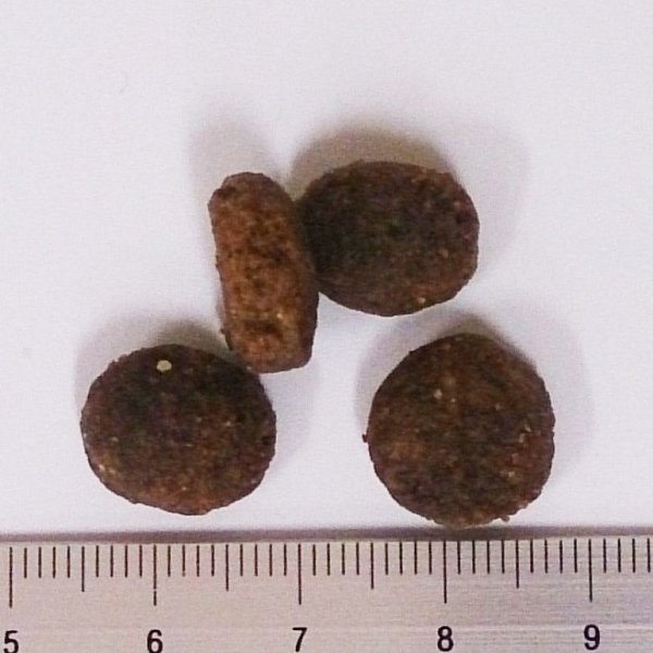 画像2: お一人様何回でもOK【無料サンプル(少量パック)(一度のご注文では5種類まで)】TRIPE DRY(トライプドライ)グリーントライプ&バイソン (2)