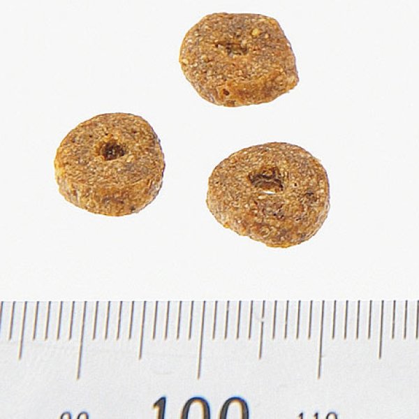 画像2: ヤラー オーガニックキャットフード フィッシュ (2)