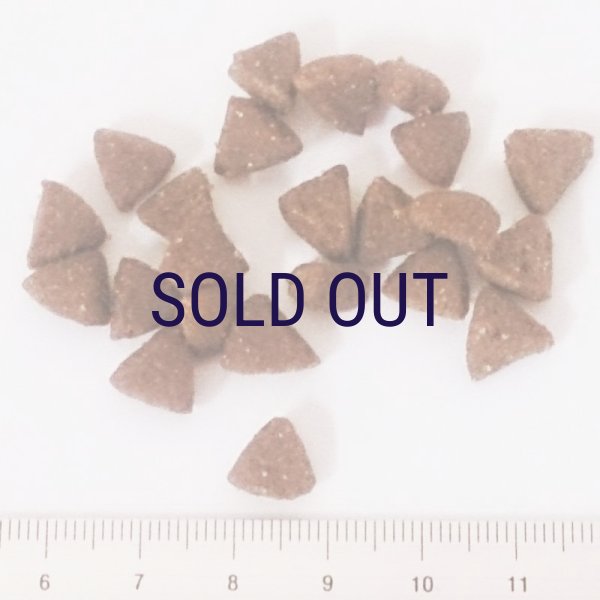 画像2: お一人様何回でもOK【無料サンプル(少量パック)(一度のご注文では5種類まで)】ホリスティックレセピー 猫用 EC-12乳酸菌 (2)