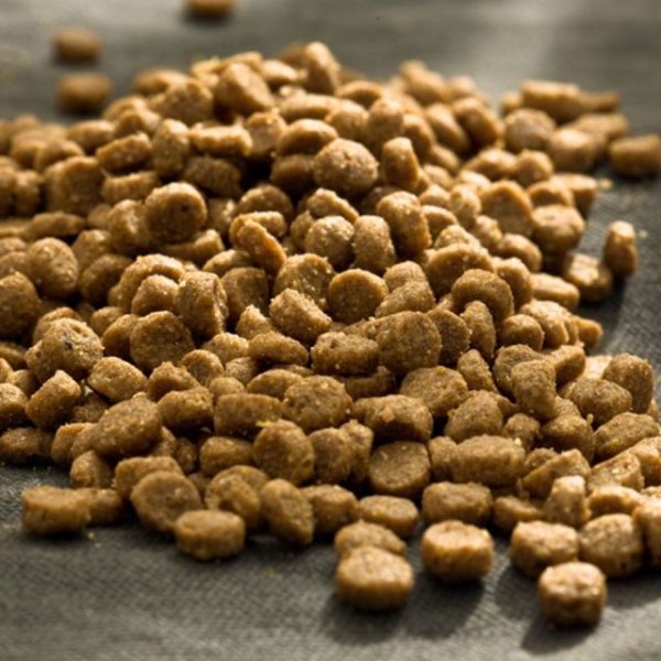 画像2: ハッピーキャット シニア アトランティック サーモン※新旧品が混じる場合がございます。 (2)