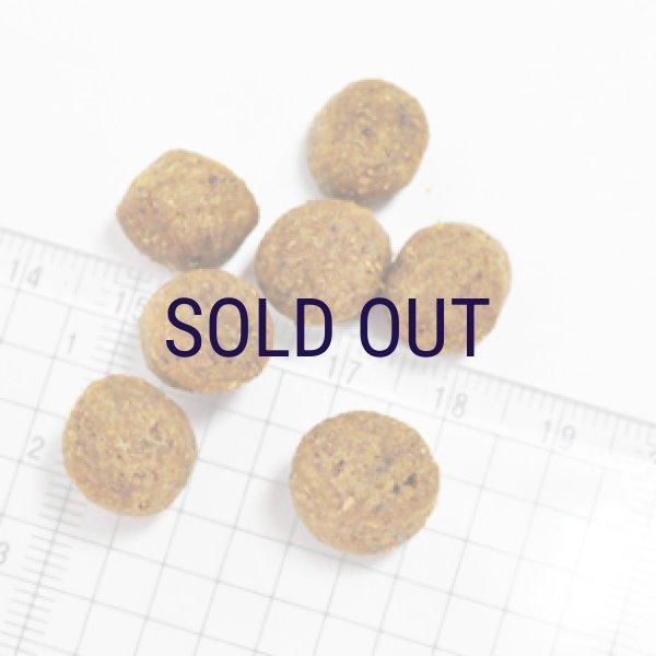 画像2: お一人様何回でもOK【無料サンプル（少量パック）（一度のご注文では5種類まで）】ナウフレッシュ グレインフリー アダルト (2)