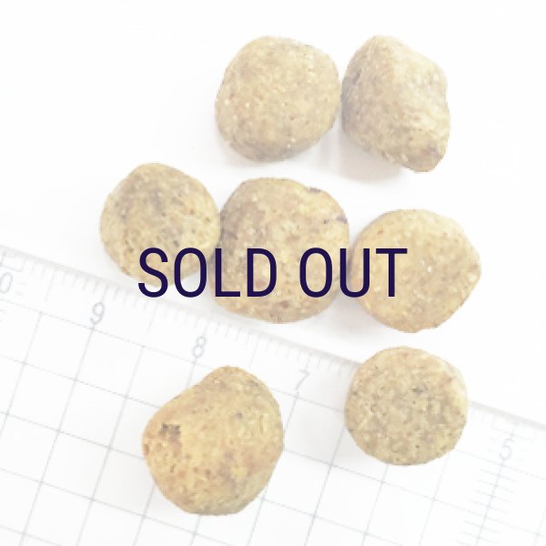 画像2: お一人様何回でもOK【無料サンプル（少量パック）（一度のご注文では5種類まで）】ナウフレッシュ グレインフリー フィッシュアダルト (2)