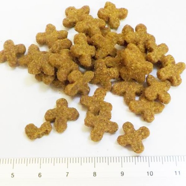 画像2: ソリッドゴールド カッツフラッケン (2)