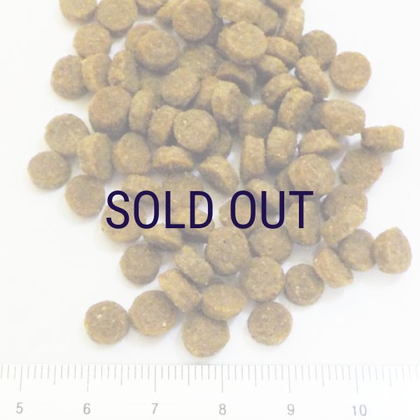 画像2: お一人様何回でもOK【無料サンプル（少量パック）（一度のご注文では5種類まで）】アディクション キャットフード サーモンブルー (2)