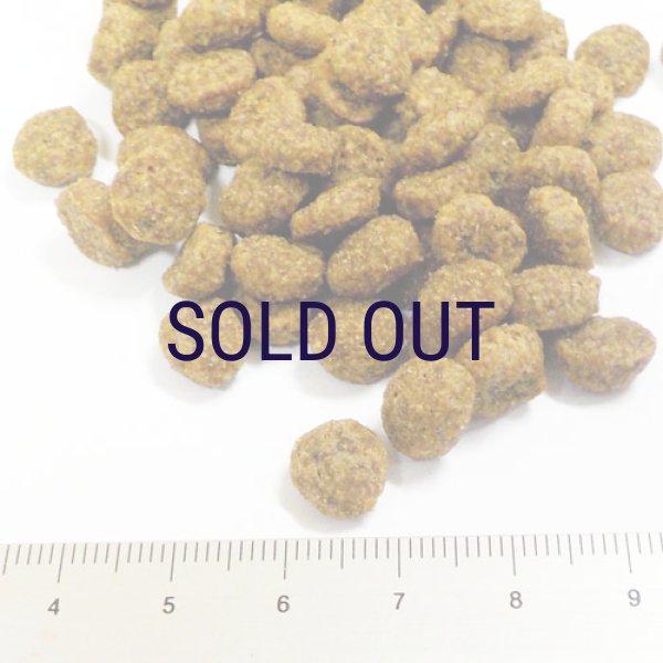 画像2: 【メーカー欠品（入荷日未定）】ソリッドゴールド フィット アズア フィドル (2)