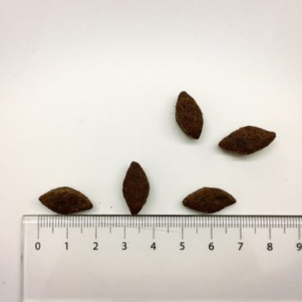 画像2: ブリット ケア センシティブ (2)