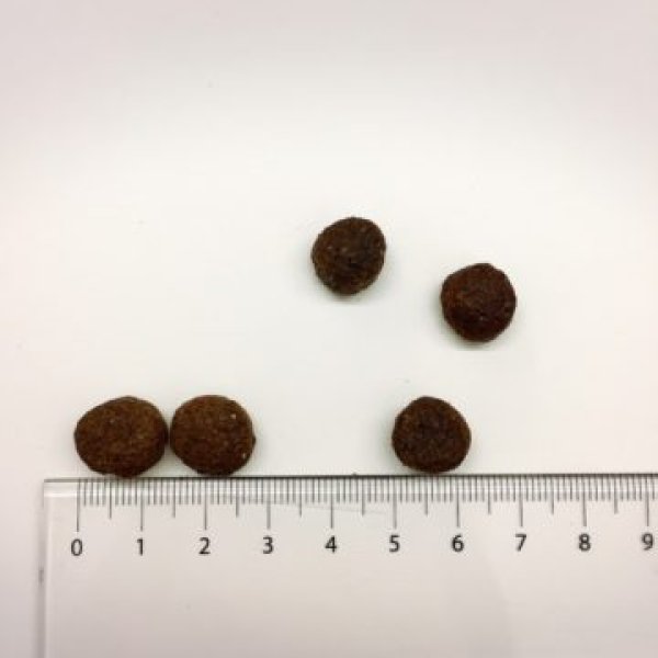 画像2: ブリット ケア ラム&ライス アダルトM (2)