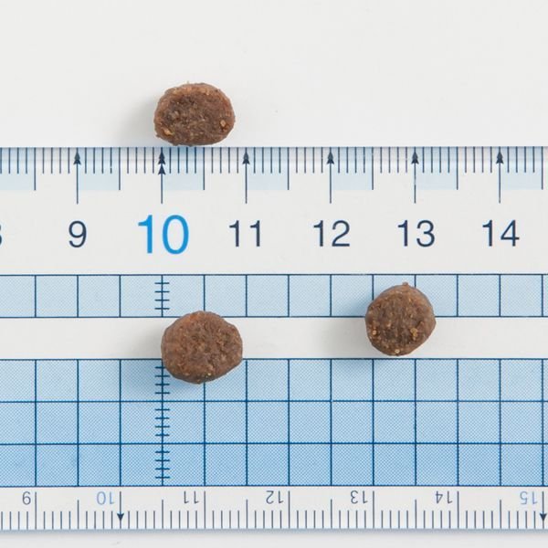 画像3: 【値下げしました！】ザナベレ センシティブ チキン (3)