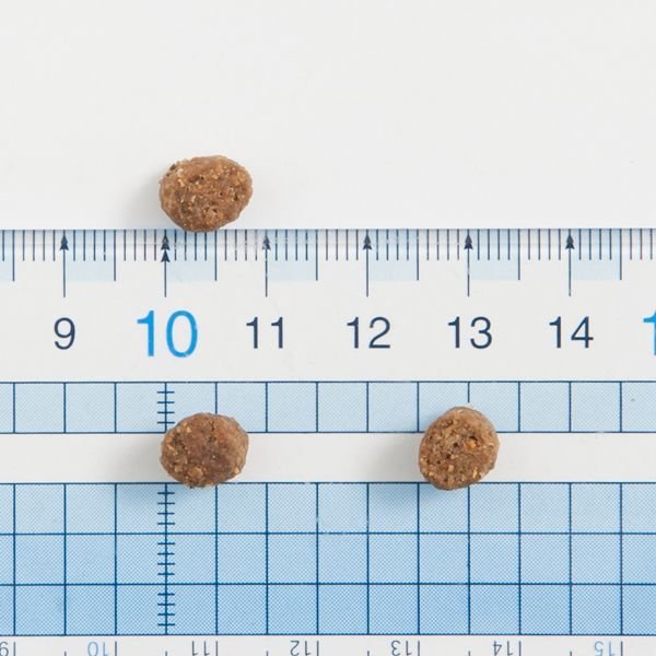 画像3: 【値下げしました!】ザナベレ アダルト チキン (3)