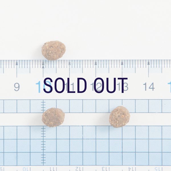 画像2: 【メーカー欠品（2026年2月リニューアル予定）】ザナベレ アダルト チキン (2)