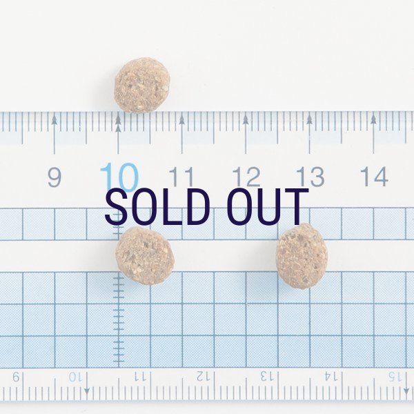 画像2: 【メーカー欠品（2026年2月リニューアル予定）】ザナベレ ライト チキン (2)