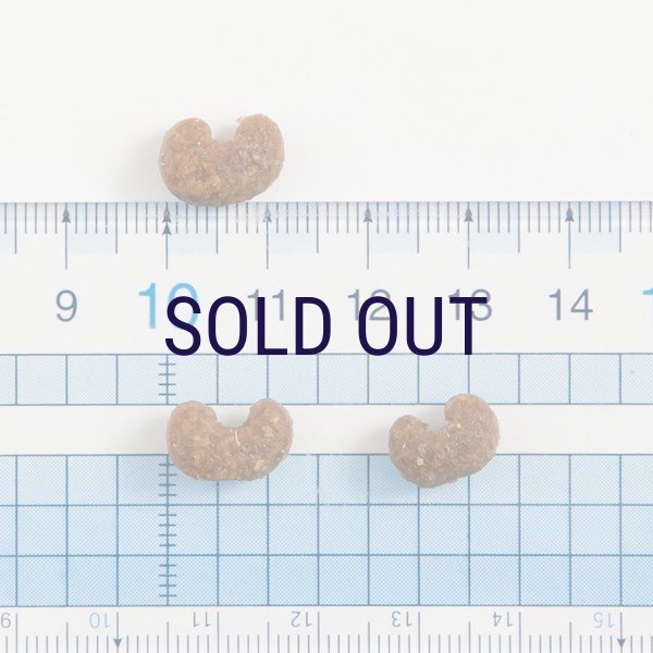 画像5: 【次回3月中旬〜下旬入荷予定※入荷遅延中】ザナベレ ウリナリー (5)