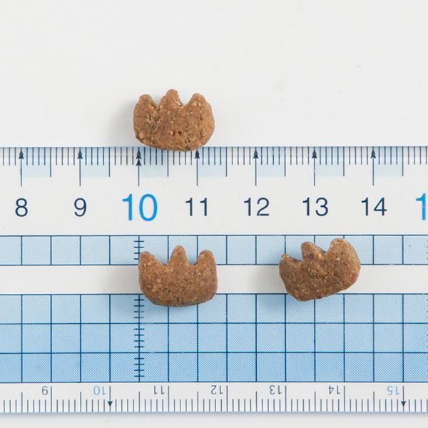 画像2: 【値下げしました！】ザナベレ デンタル (2)