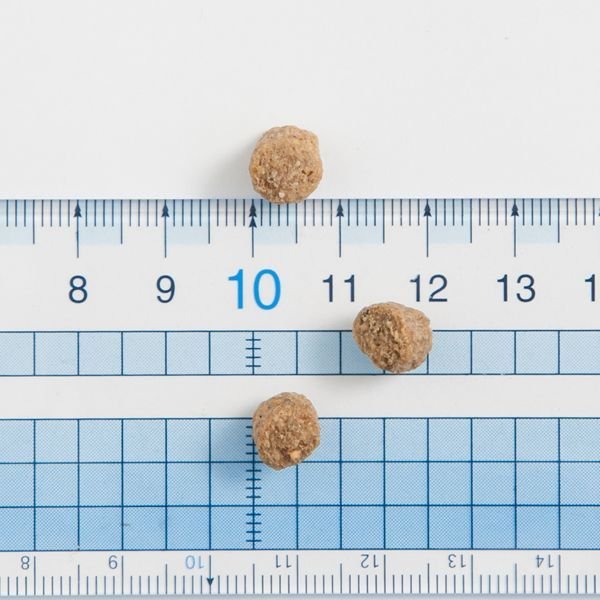 ボッシュ ハイプレミアム シニア ドッグフード　12.5 KG 楽天市場】【正規輸入品】犬用 シニア 12.5kg ボッシュ ハイプレミアム