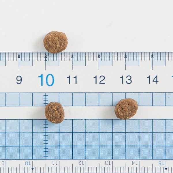 画像3: 【値下げしました!】ザナベレ シニア チキン (3)