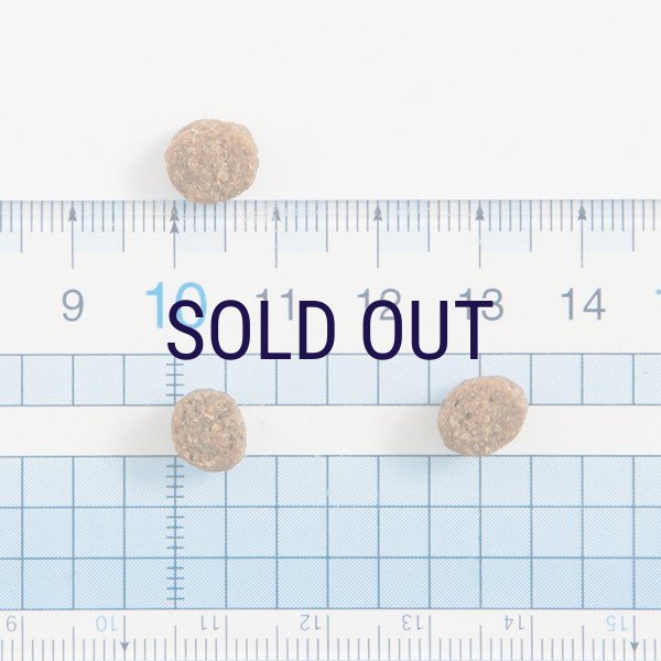 画像3: 【メーカー欠品（2026年2月リニューアル予定）】ザナベレ シニア チキン (3)