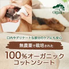 【無農薬栽培の100％オーガニックコットンシート！】オーガニック コットンシート 80枚入り