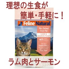 【非加熱だから酵素と乳酸菌が摂取出来る！】フィーラインナチュラル ラム＆キングサーモン・フィースト