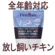 画像1: お一人様何回でもOK【無料サンプル（少量パック）（一度のご注文では5種類まで）】ファーストメイト ドッグフード チキンウィズブルーベリー 大粒 (1)