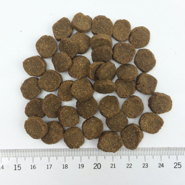 画像5: ファーストメイト ドッグフード パシフィックオーシャンフィッシュ (5)