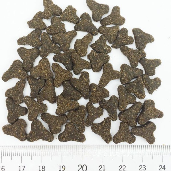 画像3: ファーストメイト キャット パシフィックオーシャンフィッシュ ウィズブルーベリー (3)