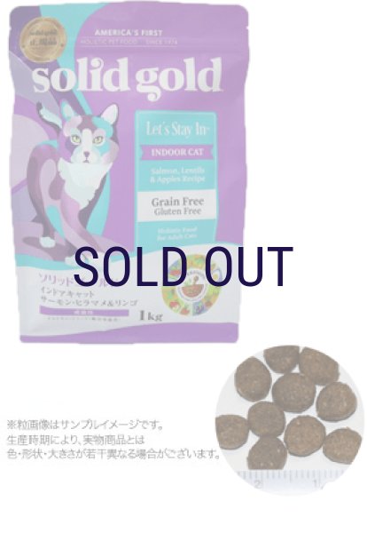 画像2: ソリッドゴールド インドアキャット (2)