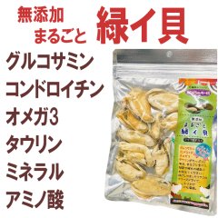 【関節や被毛の健康にどうぞ！】まるごと緑イ貝 30ｇ