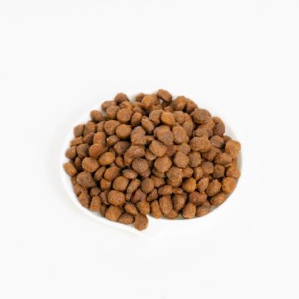 画像2: ブリット ケアミニ グレインフリー ラビット&サーモン (2)