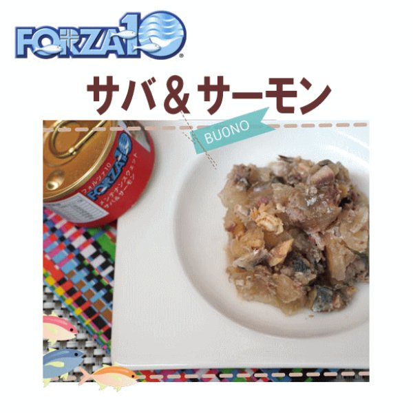 画像1: フォルツァ10（FORZA10） キャットフード メンテナンス缶 サバ＆サーモン 85ｇ (1)