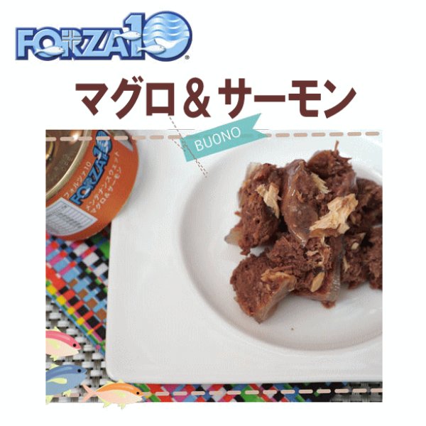 画像1: フォルツァ10（FORZA10） キャットフード メンテナンス缶 マグロ＆サーモン 85ｇ (1)