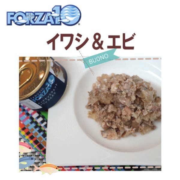 画像1: フォルツァ10（FORZA10） キャットフード メンテナンス缶 イワシ エビ入り 85ｇ (1)